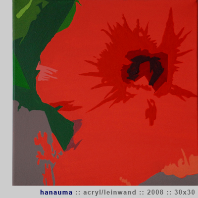Hanauma, Acryl/Leinwand, 2008, 30x30 cm